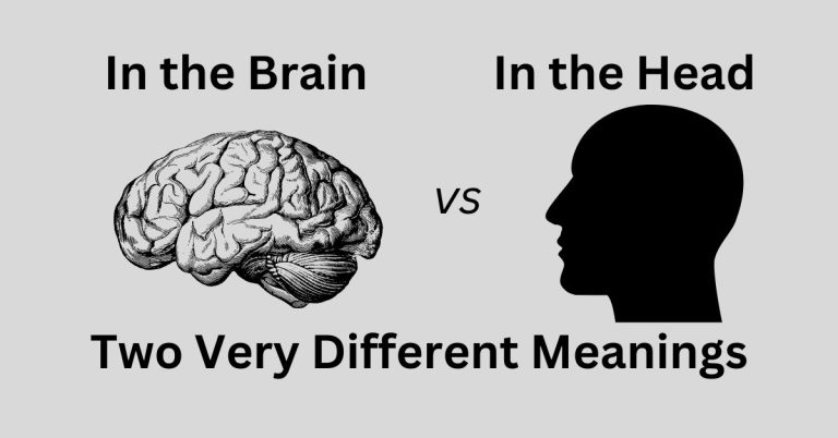 Image: brain on one side, head silhouette on the other side. Text: In the brain vs in the head, two very different meanings.