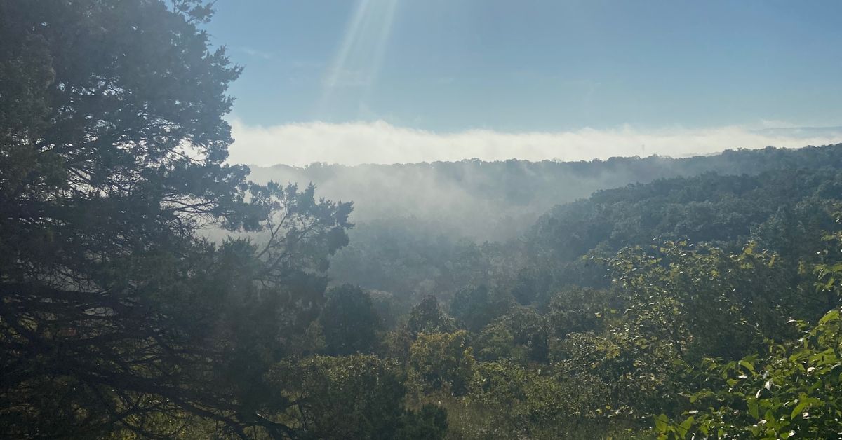 hilltop view of tree covered foggy valley